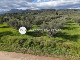 Αγροτεμάχια 5.972 τ.μ. για πώληση, Αργολίδα, Κουτσοπόδι-thumb-10