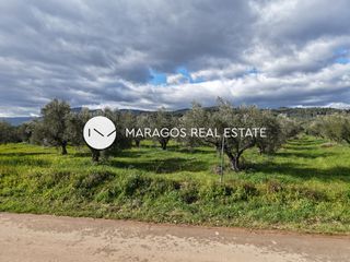 Αγροτεμάχια 5.972 τ.μ. για πώληση, Αργολίδα, Κουτσοπόδι-thumb-9