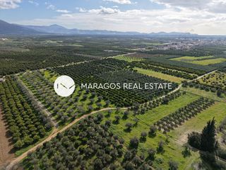 Αγροτεμάχια 5.972 τ.μ. για πώληση, Αργολίδα, Κουτσοπόδι-thumb-8