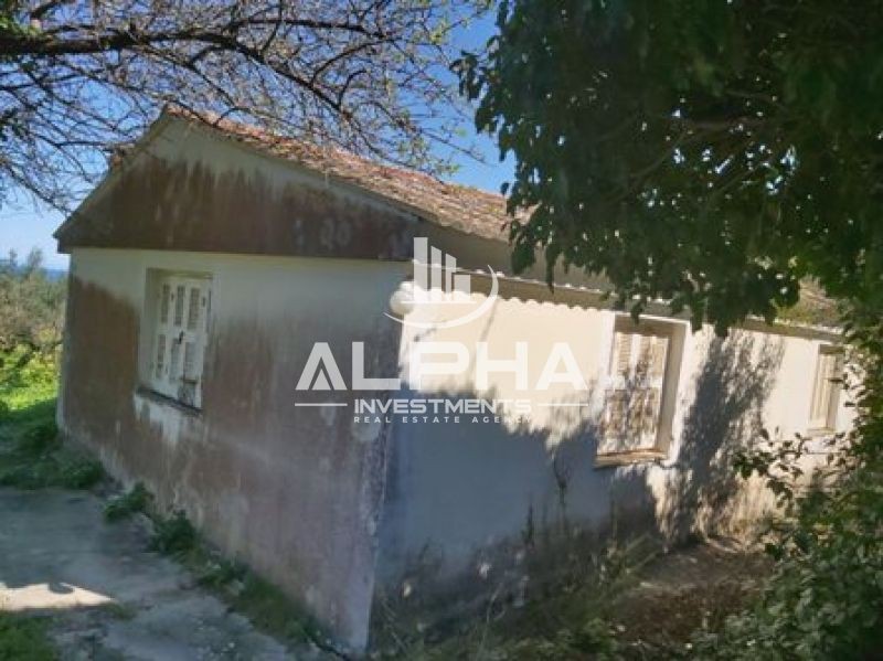 Οικόπεδο 3.922 τ.μ. πρός πώληση, Ζάκυνθος, Περιοχη Χώρας