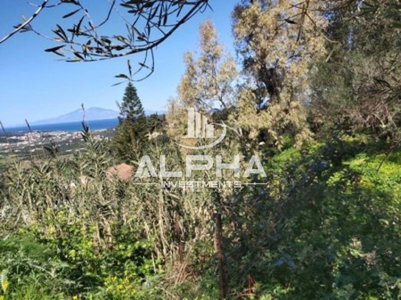 Οικόπεδο 3.922 τ.μ. πρός πώληση, Ζάκυνθος, Περιοχη Χώρας