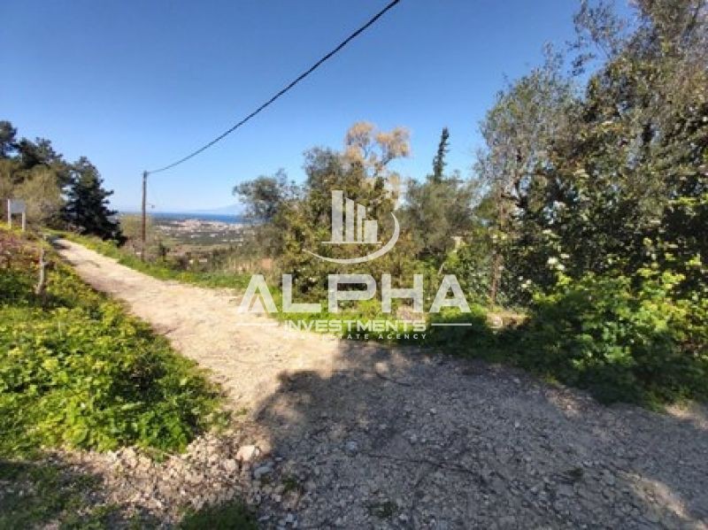 Οικόπεδο 3.922 τ.μ. πρός πώληση, Ζάκυνθος, Περιοχη Χώρας