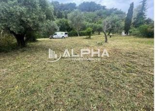 Οικόπεδο 3.922 τ.μ. για πώληση