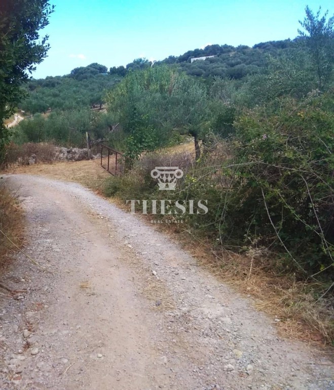 Οικόπεδο 4.000 τ.μ. προς πώληση, Κάβαλλος