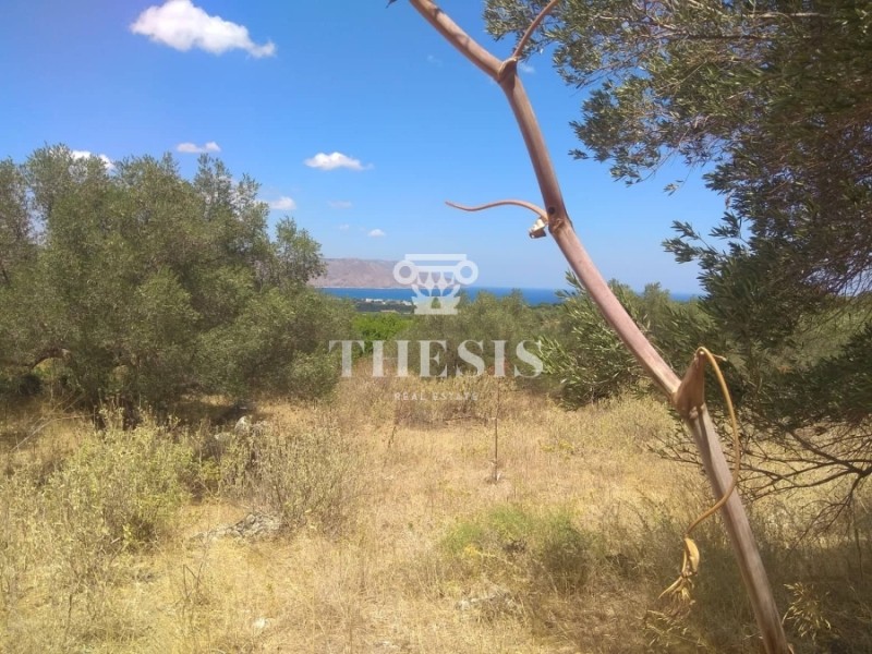 Οικόπεδο 4.000 τ.μ. προς πώληση, Κάβαλλος