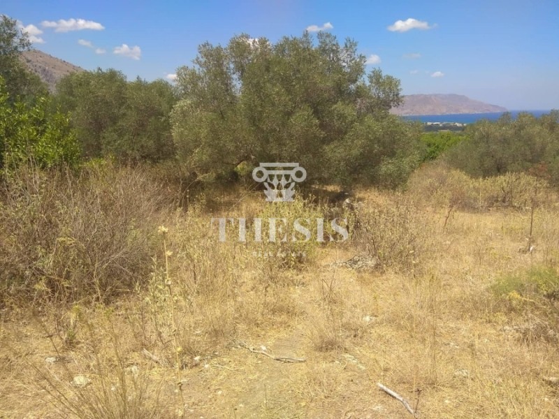 Οικόπεδο 4.000 τ.μ. προς πώληση, Κάβαλλος