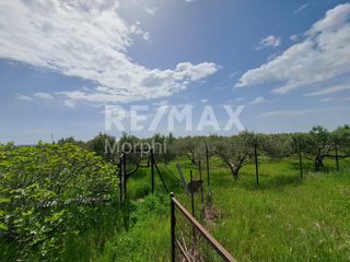 Κατάστημα 270 τ.μ. για πώληση, Ν. Ροδόπης, Ίασμος-thumb-27