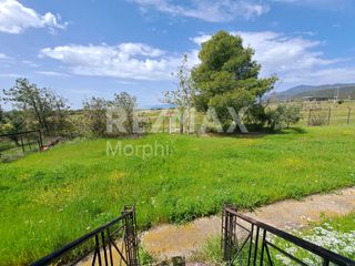 Κατάστημα 270 τ.μ. για πώληση, Ν. Ροδόπης, Ίασμος-thumb-2