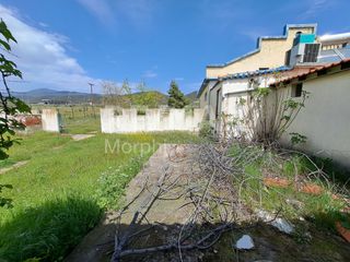 Κατάστημα 270 τ.μ. για πώληση, Ν. Ροδόπης, Ίασμος-thumb-16