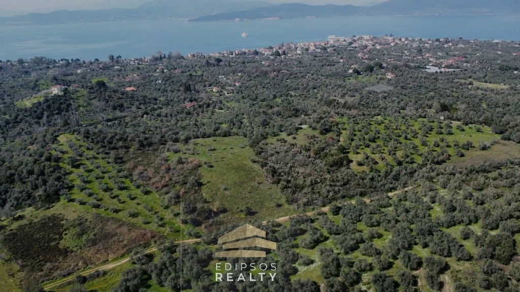 Αγροτεμάχια 4.416 τ.μ. προς πώληση, Αγιόκαμπος Αιδηψού