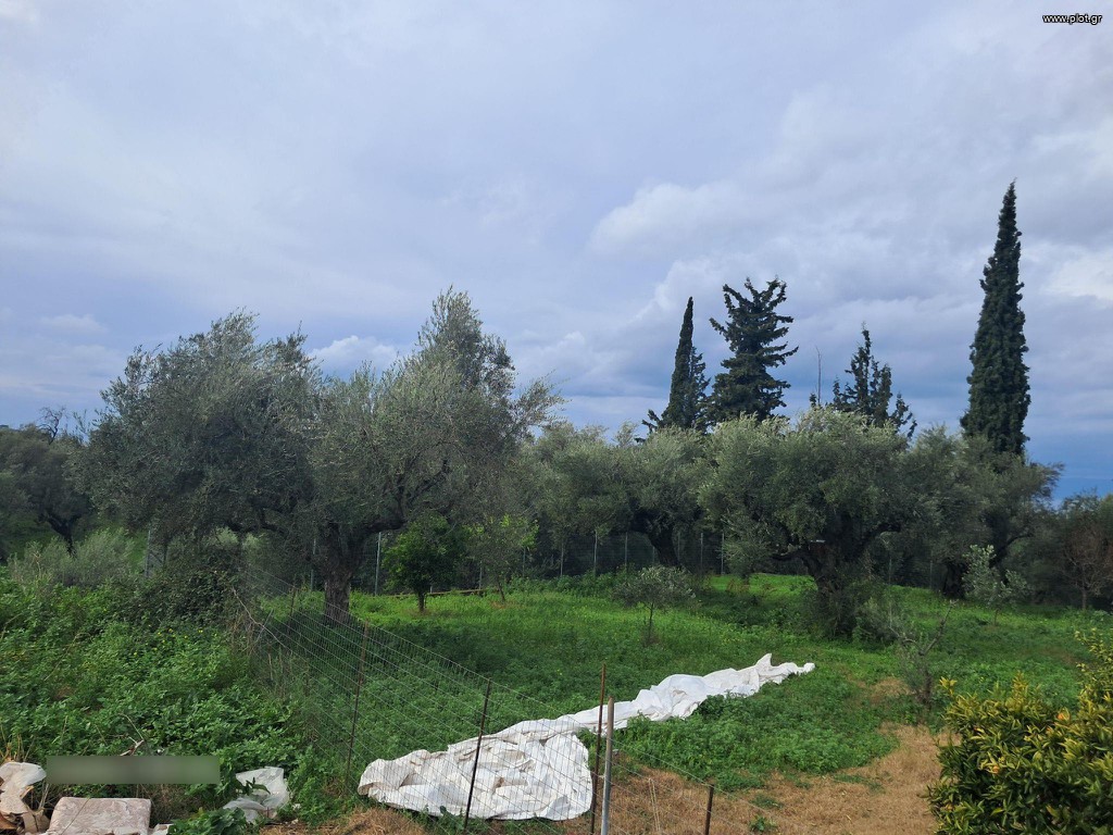 Οικόπεδο 695 τ.μ. προς πώληση, Οβριά