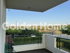 Business 440 sqm for sale, Rest Of Attica, Oropos