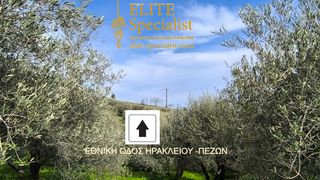Αγροτεμάχια 4.035 τ.μ. για πώληση