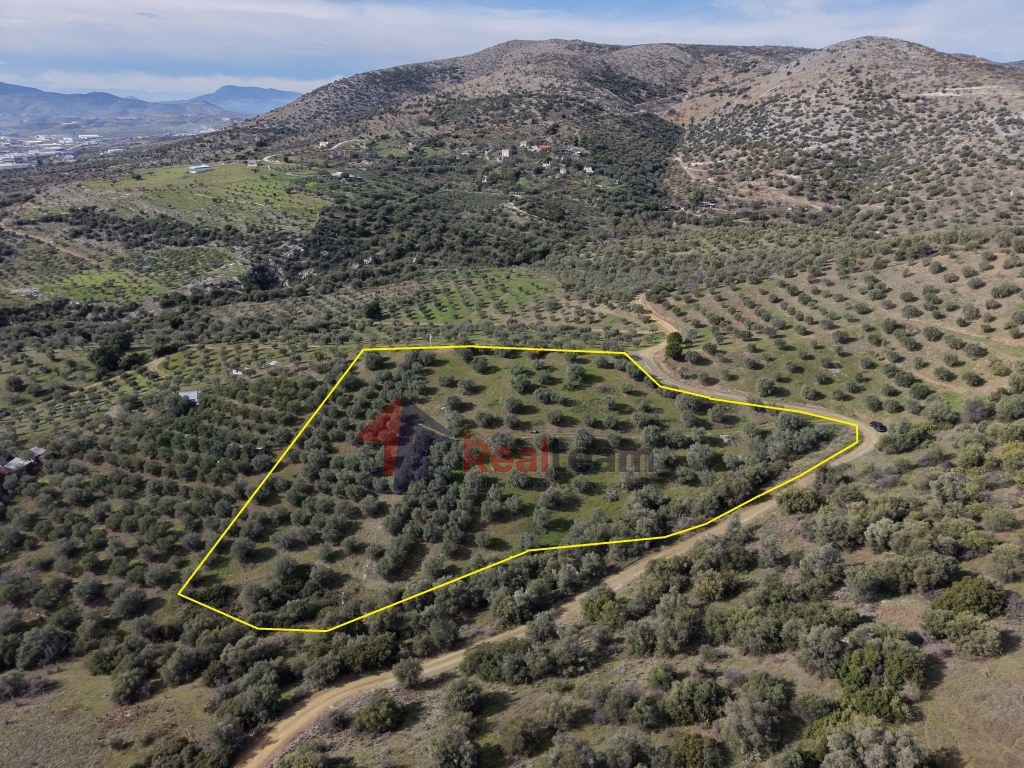 Αγροτεμάχια 10.300 τ.μ. πρός πώληση, Μαγνησία, Νέα Ιωνία Βόλου
