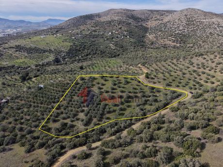 Parcel 10.300 sqm for sale