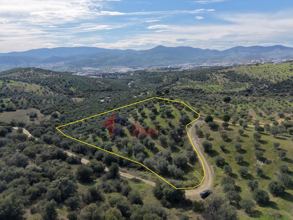 Αγροτεμάχια 10.300 τ.μ. πρός πώληση, Μαγνησία, Νέα Ιωνία Βόλου