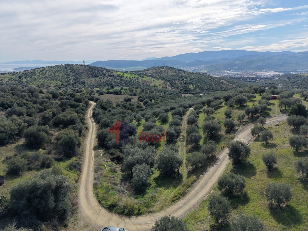 Αγροτεμάχια 10.300 τ.μ. πρός πώληση, Μαγνησία, Νέα Ιωνία Βόλου