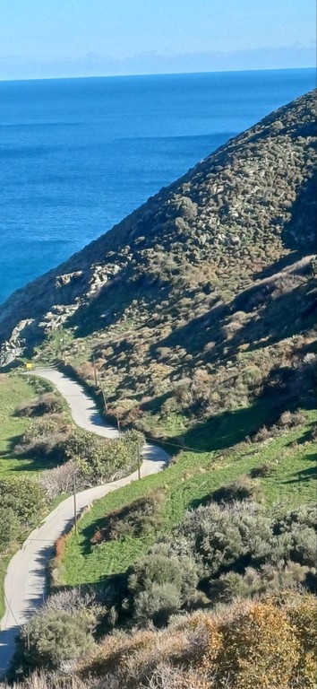 Οικόπεδο 4.600 τ.μ. πρός πώληση, Εύβοια, Μαρμάρι