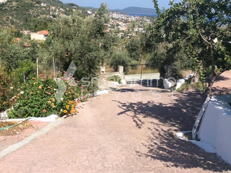 Μονοκατοικία 130 τ.μ. πρός πώληση, Σποράδες, Αλόννησος