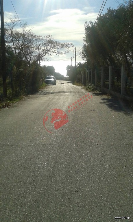 Μονοκατοικία 40 τ.μ. πρός πώληση, Εβρος, Αλεξανδρούπολη