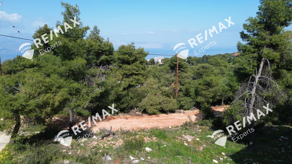 Οικόπεδο 514 τ.μ. προς πώληση, Πευκάλι