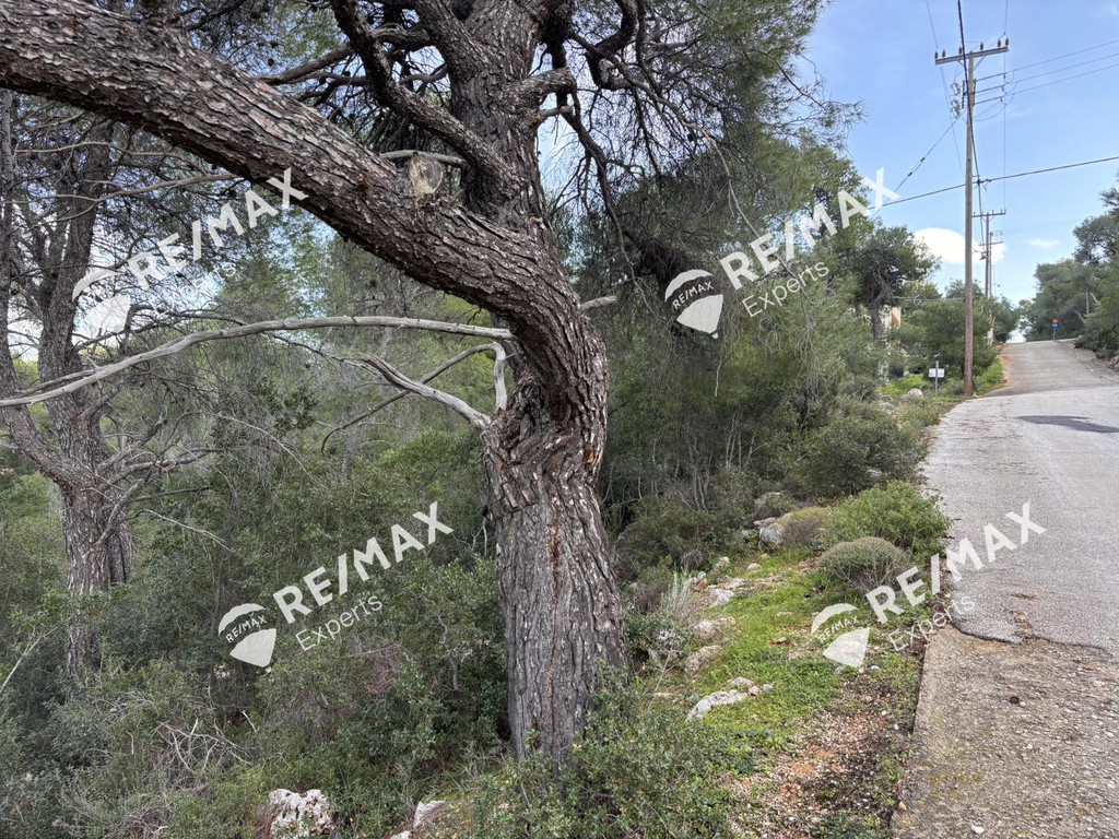 Οικόπεδο 514 τ.μ. προς πώληση, Πευκάλι