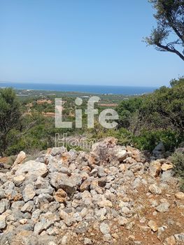 Αγροτεμάχια 5.071 τ.μ. προς πώληση