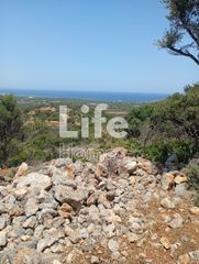 Αγροτεμάχια 5.071 τ.μ. για πώληση