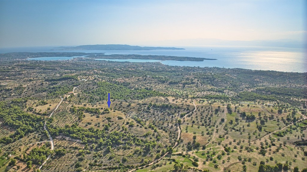 Αγροτεμάχια 50.000 τ.μ. προς πώληση, Βερβερούδα