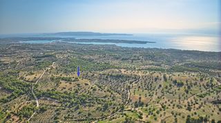 Αγροτεμάχια 50.000 τ.μ. προς πώληση, Βερβερούδα-thumb-3