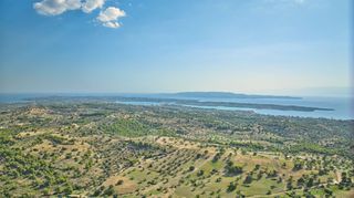 Αγροτεμάχια 50.000 τ.μ. προς πώληση, Βερβερούδα-thumb-8