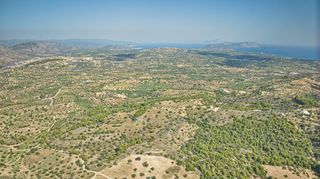 Αγροτεμάχια 50.000 τ.μ. προς πώληση, Βερβερούδα-thumb-20