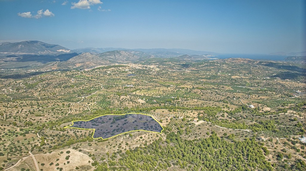 Αγροτεμάχια 50.000 τ.μ. προς πώληση, Βερβερούδα