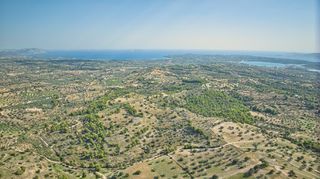 Αγροτεμάχια 50.000 τ.μ. προς πώληση, Βερβερούδα-thumb-18