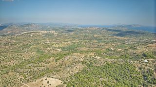 Αγροτεμάχια 50.000 τ.μ. προς πώληση, Βερβερούδα-thumb-21