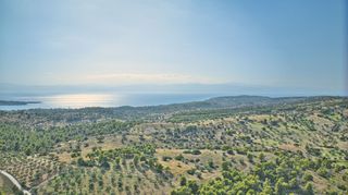 Αγροτεμάχια 50.000 τ.μ. προς πώληση, Βερβερούδα-thumb-5