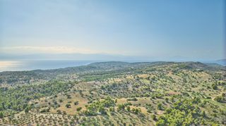 Αγροτεμάχια 50.000 τ.μ. προς πώληση, Βερβερούδα-thumb-12