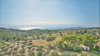 Αγροτεμάχια 50.000 τ.μ. προς πώληση, Βερβερούδα-thumb-10