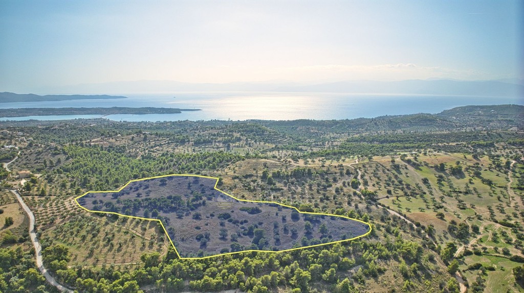 Αγροτεμάχια 50.000 τ.μ. προς πώληση, Βερβερούδα