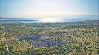 Αγροτεμάχια 50.000 τ.μ. προς πώληση, Βερβερούδα-thumb-1