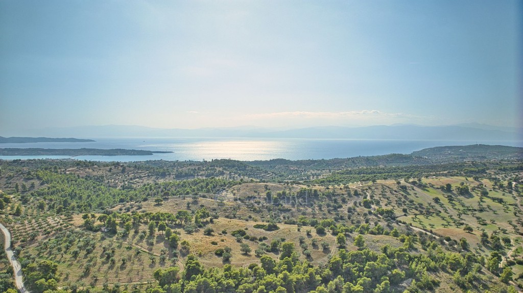Αγροτεμάχια 50.000 τ.μ. προς πώληση, Βερβερούδα