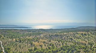 Αγροτεμάχια 50.000 τ.μ. προς πώληση, Βερβερούδα-thumb-2