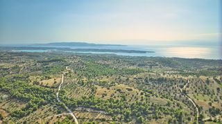 Αγροτεμάχια 50.000 τ.μ. προς πώληση, Βερβερούδα-thumb-6