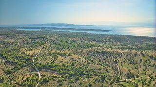 Αγροτεμάχια 50.000 τ.μ. προς πώληση, Βερβερούδα-thumb-24