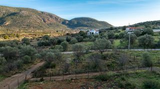 Οικόπεδο 420 τ.μ. για πώληση, Αργολίδα, Επίδαυρος-thumb-16