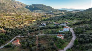 Οικόπεδο 420 τ.μ. για πώληση, Αργολίδα, Επίδαυρος-thumb-15