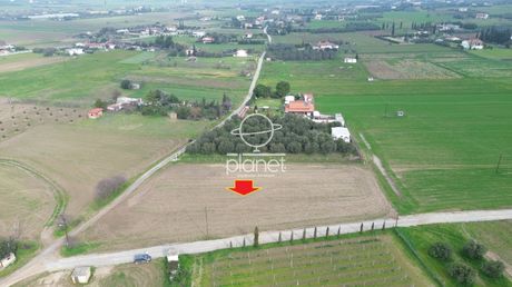 Αγροτεμάχια 3.380 τ.μ. προς πώληση