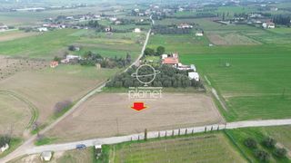 Αγροτεμάχια 3.380 τ.μ. προς πώληση
