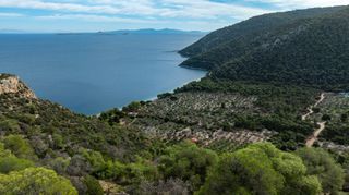 Οικόπεδο 1.266 τ.μ. για πώληση, Κορινθία, Σολύγεια-thumb-13
