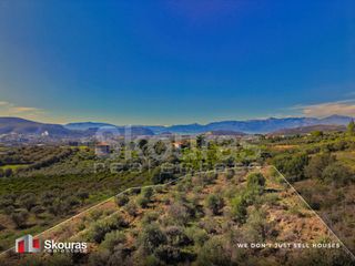 Αγροτεμάχια 7.375 τ.μ. για πώληση, Αργολίδα, Ναύπλιο-thumb-16